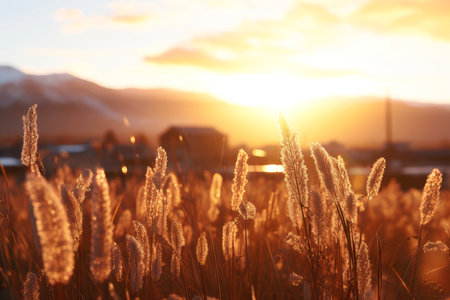 Close up spring grass field with sunlight bokeh background, Generative AI illustrationの素材