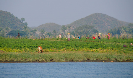 Burmese workers in Chin village, Burmaのeditorial素材