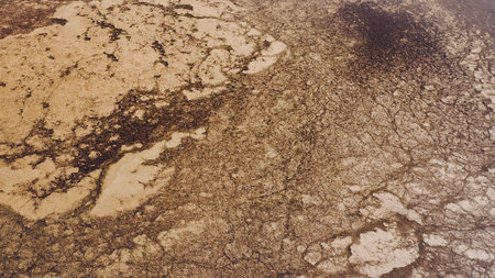 Aerial view of birds flying over drying wetlands.