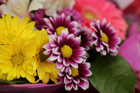 Bright summer flowers bouquet