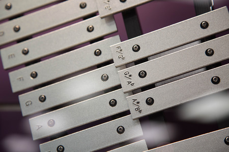 Concept musical education xylophone  backdrop close upの写真素材