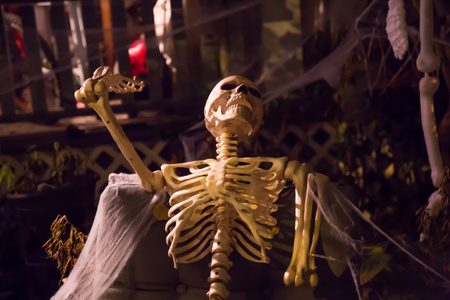 Night halloowen decoration skeleton no people outdoor