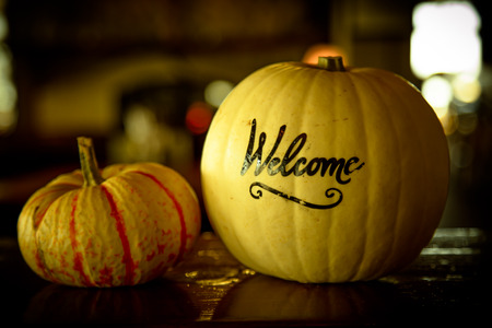 Squash restaurant wooden counter welcome closeup shallow depth of fileの写真素材