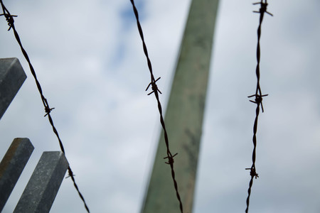 Background metal military security barb wire detail 
