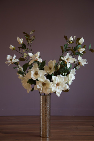 White petals blooming  tree  branches flowers interior verticalの写真素材