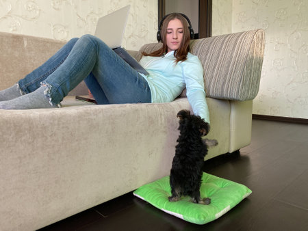 Young female studying from home laptop dog petの写真素材