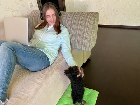 Happy young female working from home laptop sofa small dogの写真素材