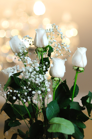 A bouquet of white roses on the background of soft focus and bokehの写真素材