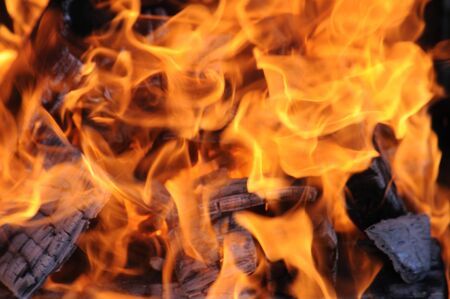 Campfire fire kindled in a camping trip
