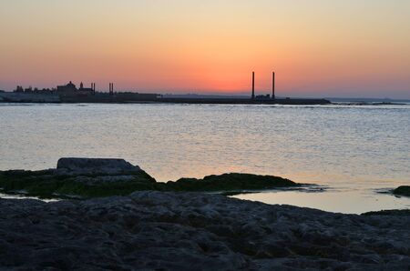 Caspian Sea shore with a plant on a summer evening at sunset
