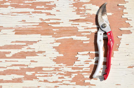 Garden shears for cutting branches, flowers and shrubs on the floorの写真素材