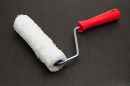 Painter roller for painting various surfaces