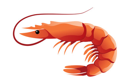 Shrimp shaded vector illustrationのイラスト素材