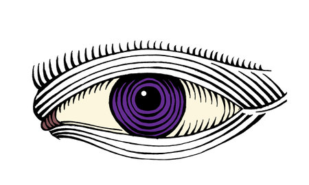 hand drawn eye drawing line art color engraved styleのイラスト素材