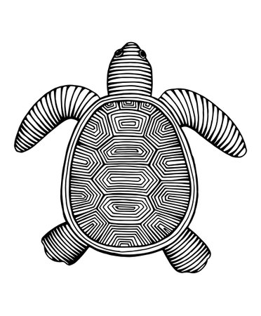 vintage hand drawn line art tortoise engraved vector illustrationのイラスト素材
