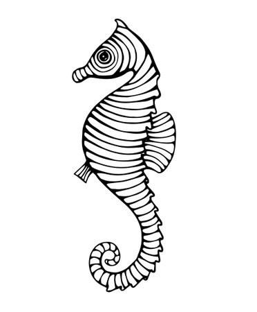 vintage hand drawn line art seahorse engraved vector illustrationのイラスト素材