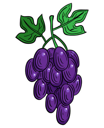 grapes fruit hand drawn engraved sketch drawing vector illustrationのイラスト素材