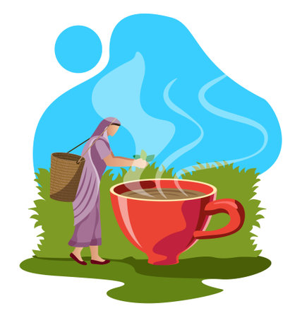 fresh tea concept, tea leaf harvester woman and tea cup vector illustrationのイラスト素材
