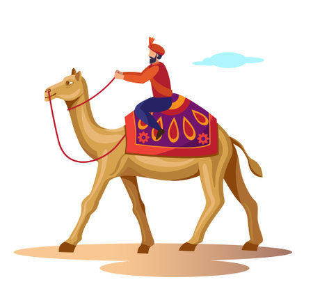 rajasthan culture royal man riding on camel vector illustrationのイラスト素材