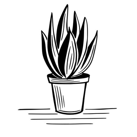 cactus in pot vector drawingのイラスト素材