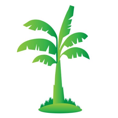 Banana tree isolated vector illustrationのイラスト素材