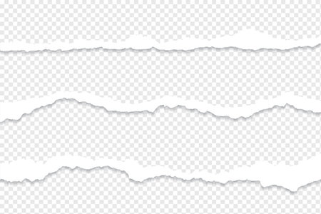set of ripped torn paper dividers effect on transparent background vectorのイラスト素材