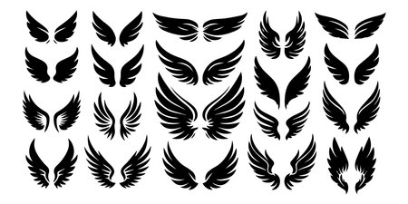 Assorted Angel and Bird Wing Silhouettes on White Backgroundのイラスト素材
