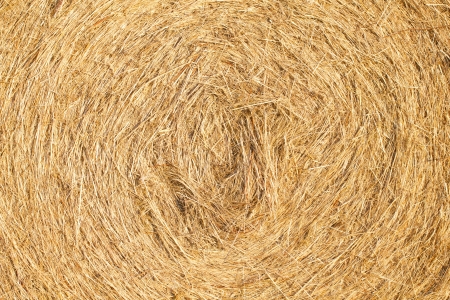 Golden bale of hay background