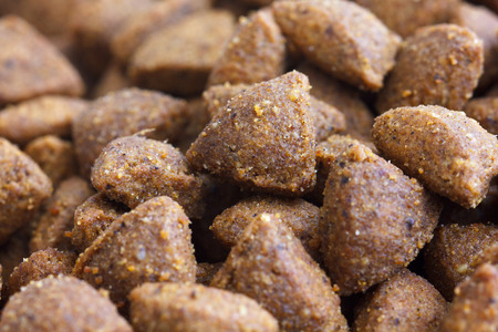 Detail of dry brown pet food. Selective focus.