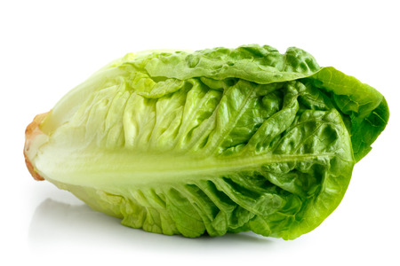 Single gem lettuce isolated on white background.の写真素材