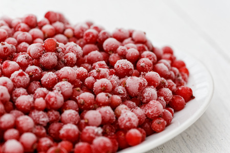 Closeup of frozen redcurrants on white ceramic plate on white painted table.の写真素材