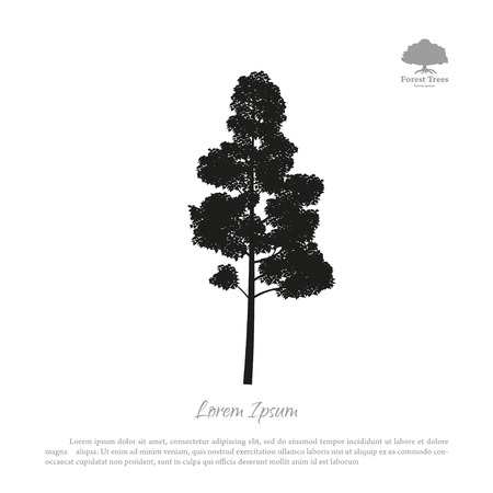 Black silhouette of a tree on a white background. Forest trees. Vector illustrationのイラスト素材