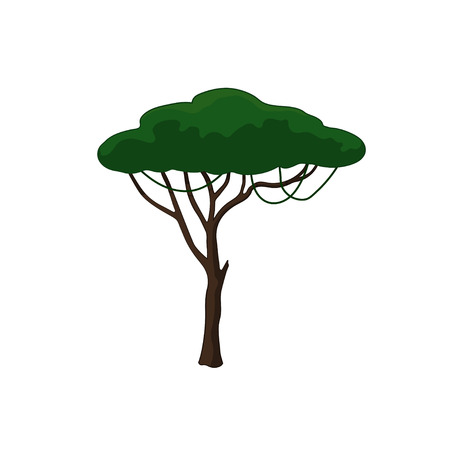 Acacia tree in cartoon style on white background. African natureのイラスト素材