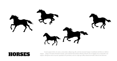 Black silhouette of running horses. Isolated detailed drawing of mustang herd on white background. Side view. Western landscape. Vector illustrationのイラスト素材