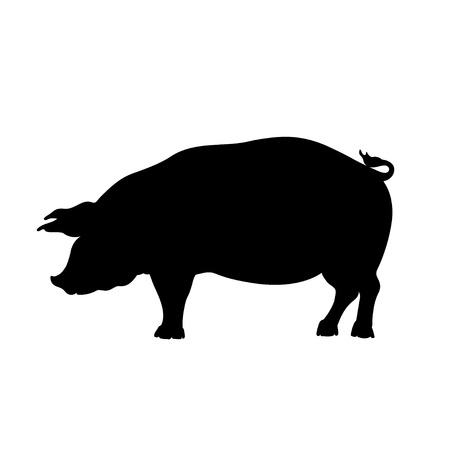 Black silhouette of pig. Isolated image of farm boar. Domestic animal icon.のイラスト素材