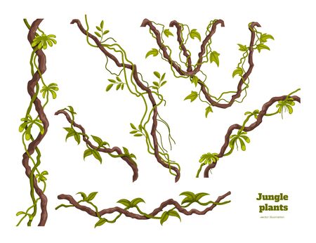 Isolated jungle plants set. Design elements. Liana branch. Tropical forest trees in cartoon style. Rainforest bush on white background. Vector illustrationのイラスト素材