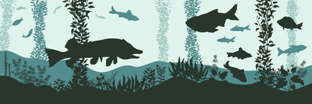 Underwater river panorama. Fluvial scene with fishes and aquatic plants. Lake wildlife poster. Bottom pond animals bannerのイラスト素材