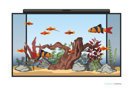 Aquarium underwater interior. Cartoon background with fishes and aquatic plants. Domestic water tank landscape. Aqua scene drawingのイラスト素材