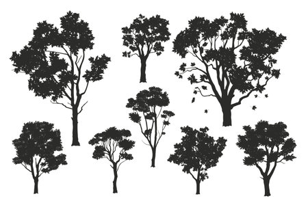 Isolated tree silhouettes. Black drawing of forest plants. Park scene elements. Graphic arts for natural landscape background. Garden design elementsのイラスト素材