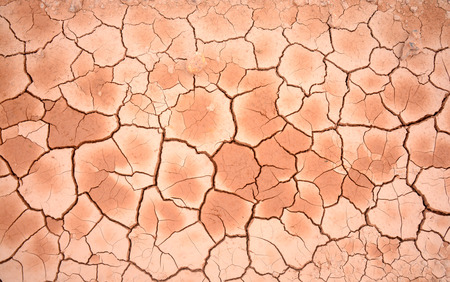 Cracked dry soil background