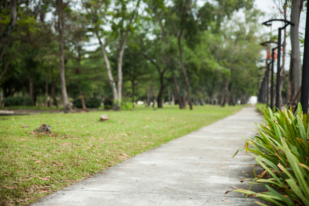 road for pedestrians and bicycle in parkの写真素材