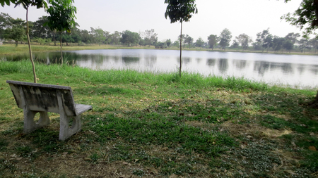 Green lush pond in city park with treesの写真素材