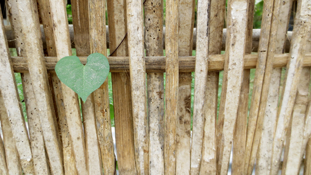 Bamboo fence background of the local house, thailandの写真素材