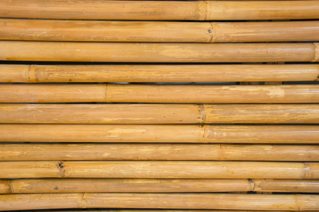 yellow Bamboo fence background texture in thailandの写真素材