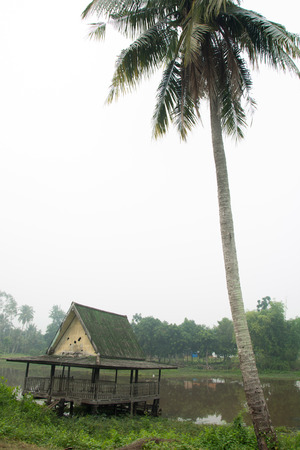 Old outdoor pavilion near riverの写真素材