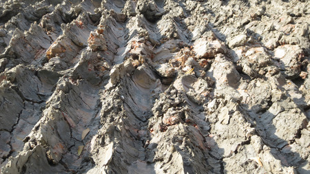 Tire tracks on a muddy road at thailandの写真素材