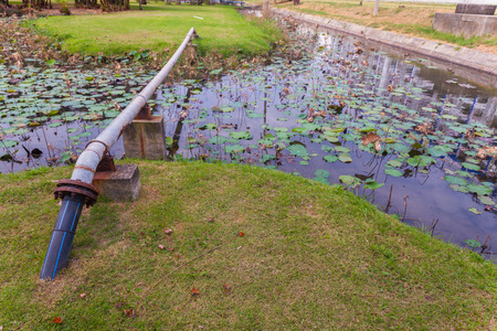 Water pipe cross over the lotus pondの写真素材