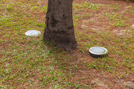 Modern lamp under the tree at thailandの写真素材