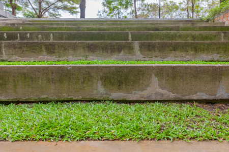 Modern staircase and grass,stone grand standの写真素材