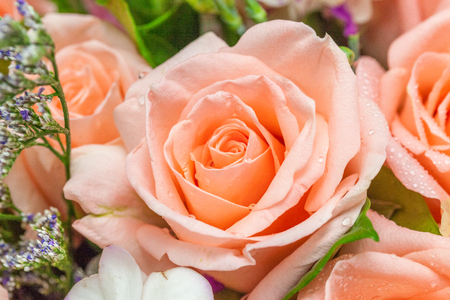 Close up of beautiful pink rose bouquetの写真素材